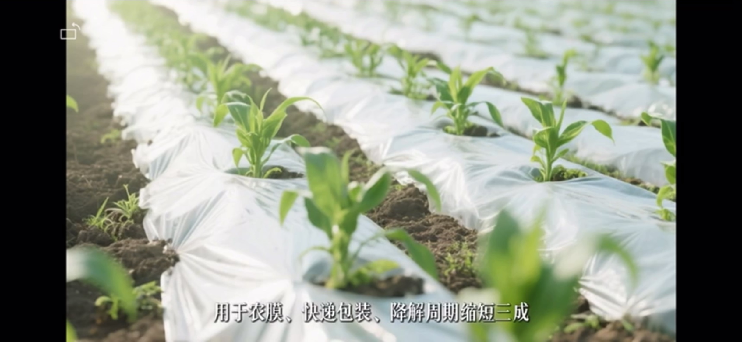 Película agrícola hecha de material compuesto de residuos de carbón valorizados